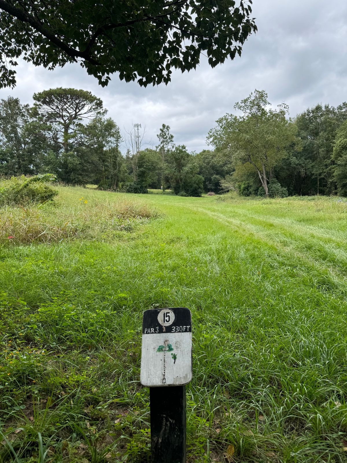 Hole 15 tee (throws over ditch)