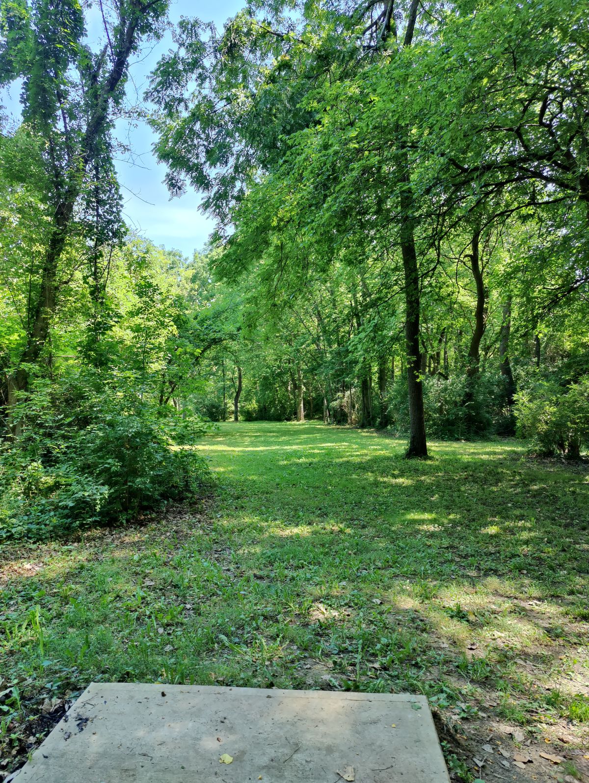 Hole 8