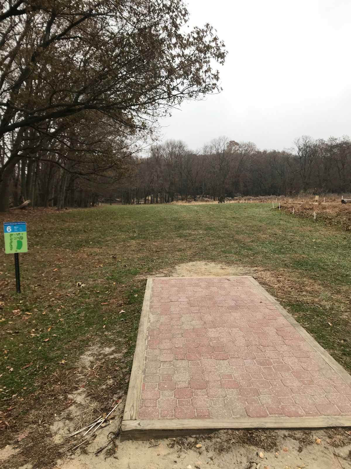 Hole 6 long tee