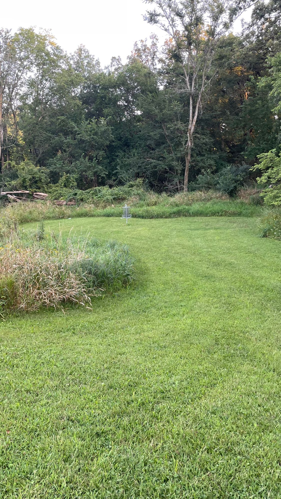 Hole 5 landing area