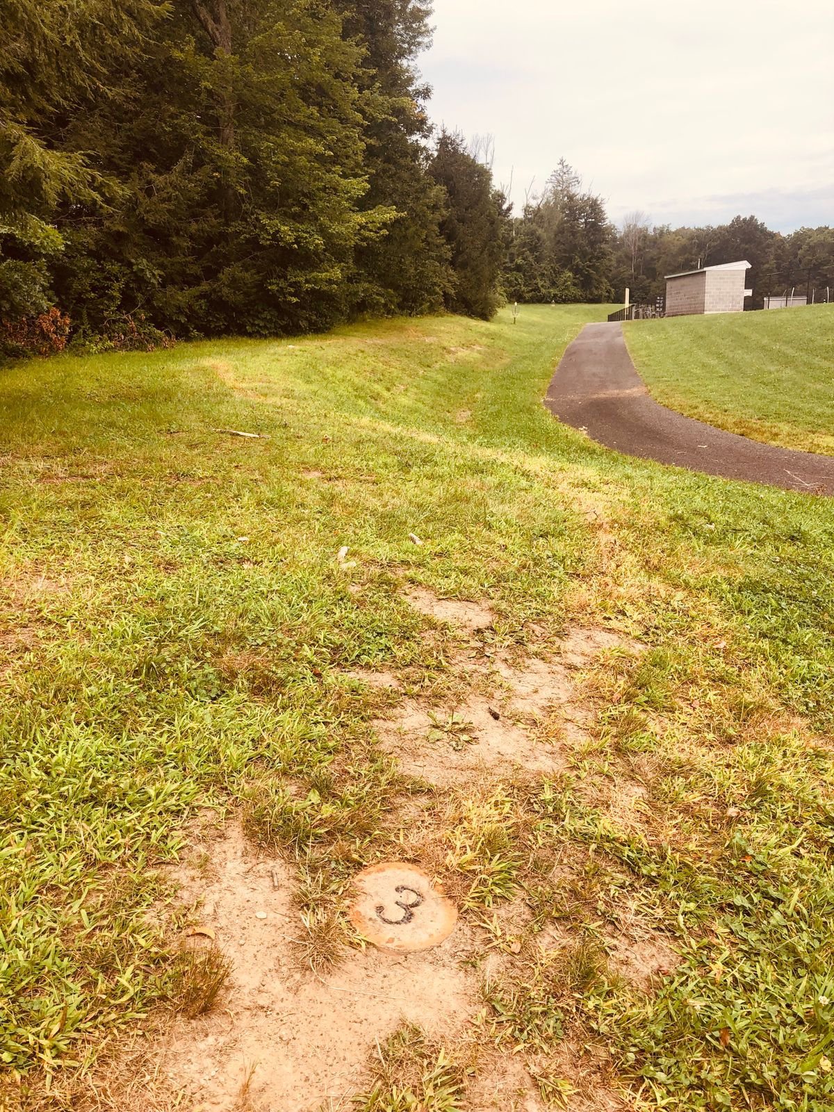 Old tee.  Hole 3 along the treeline.