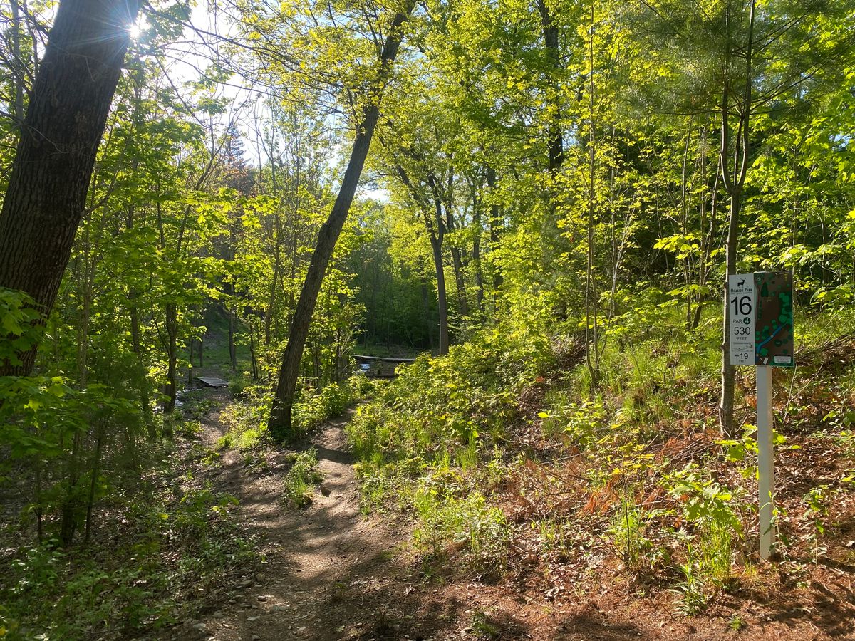 View from Hole 16 teepad