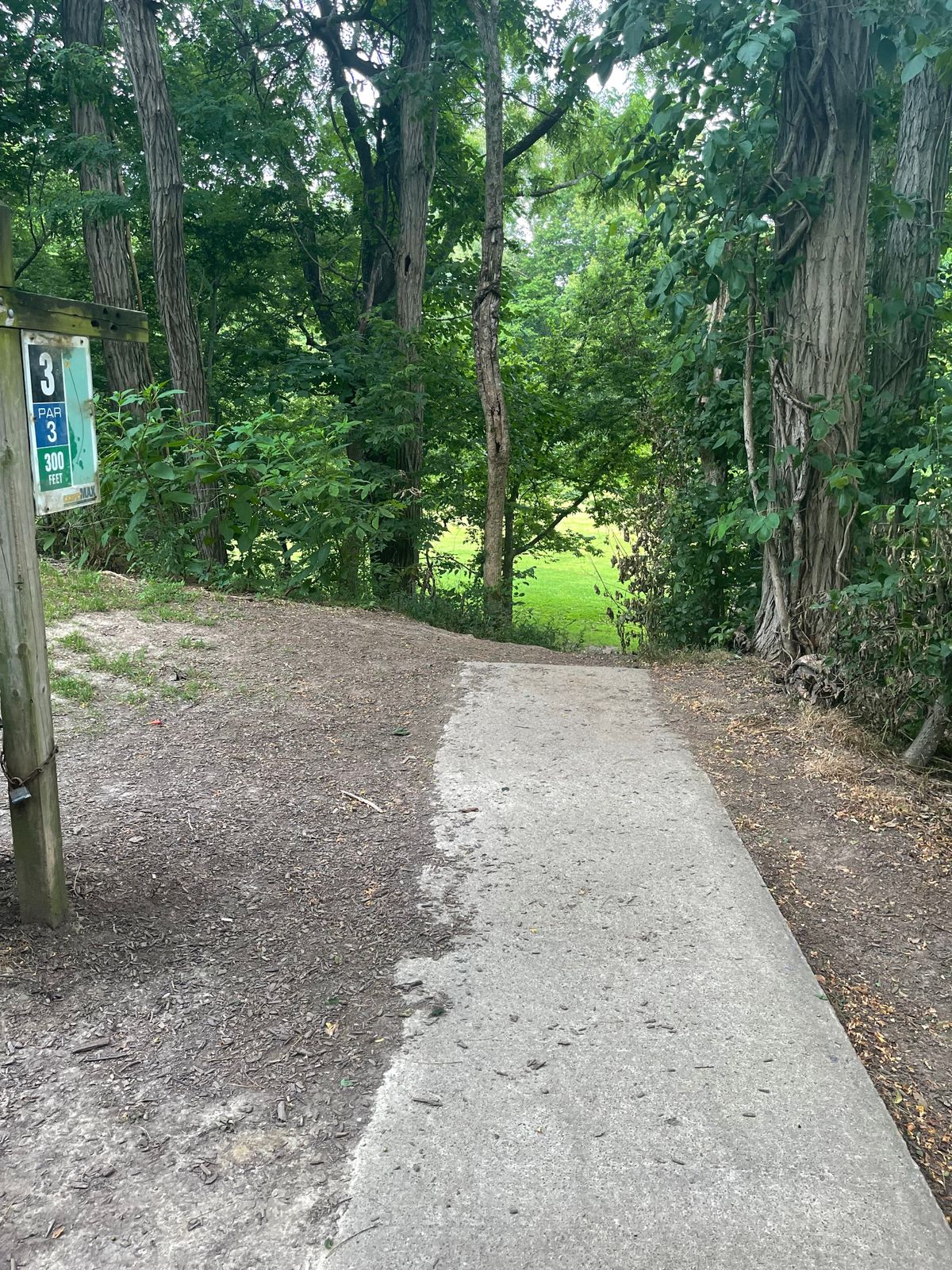 Hole 3 Tee, basket through gap deep left