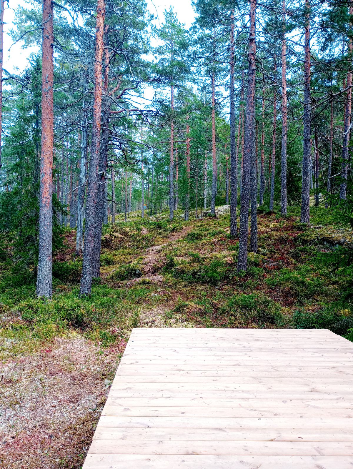 hål 3