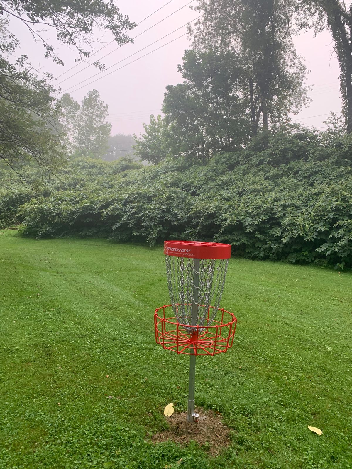 Hole #2 basket to Tee pad