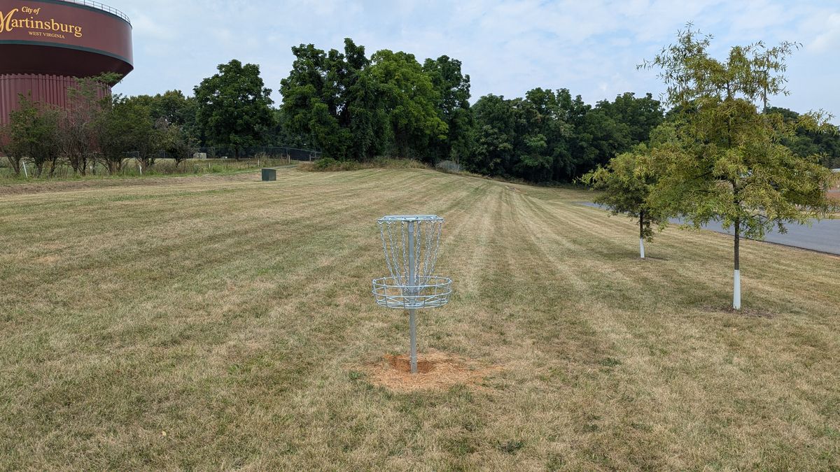 Hole 1 from the basket.