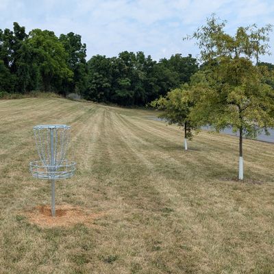 Hole 1 from the basket.