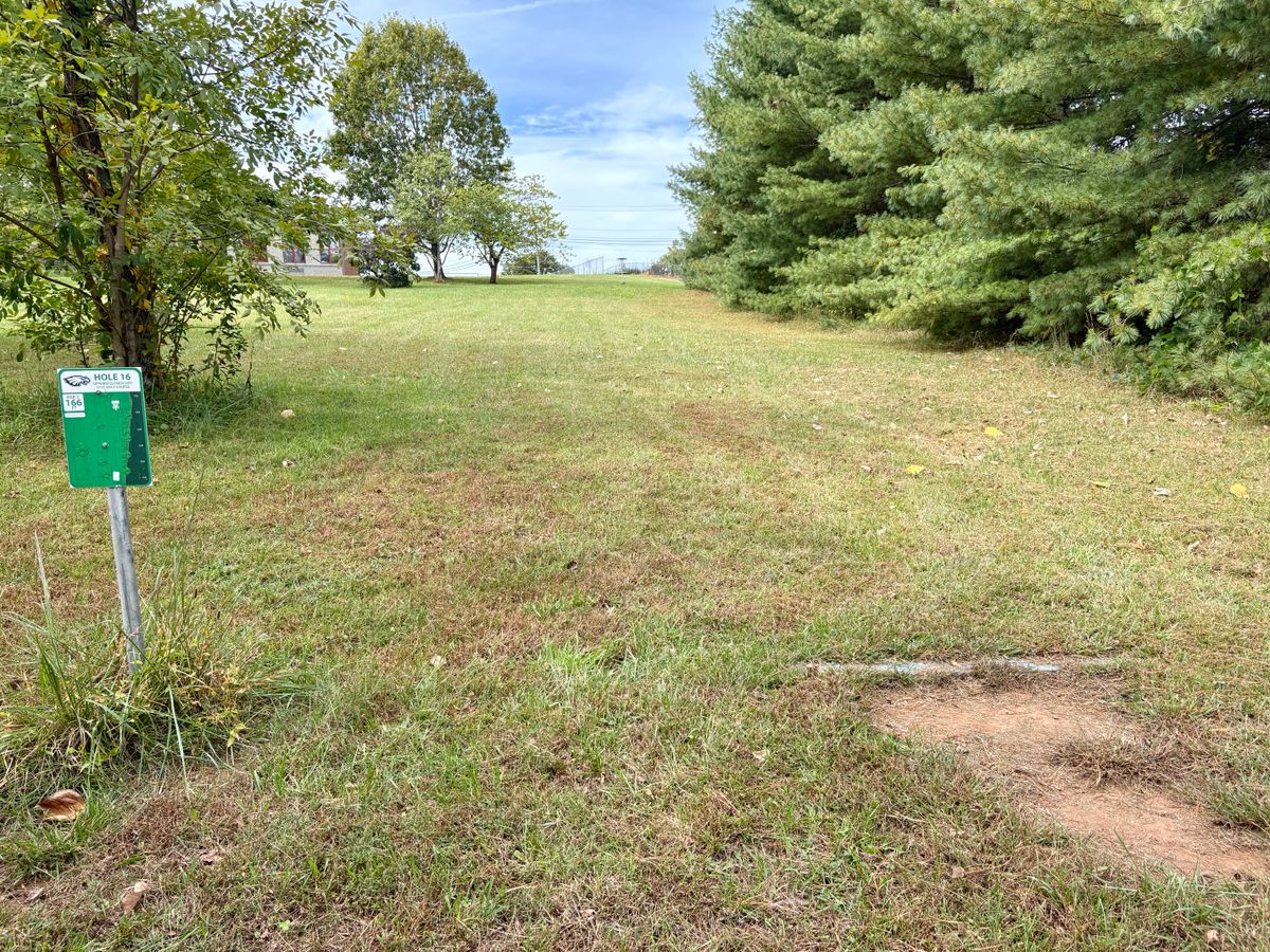 Hole 16 tee