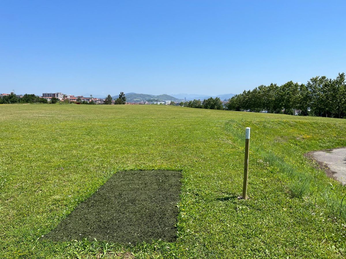 5B
