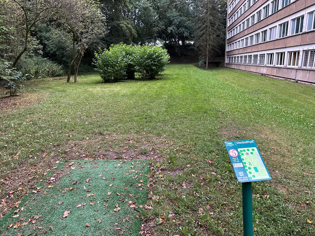 Tee of hole 5