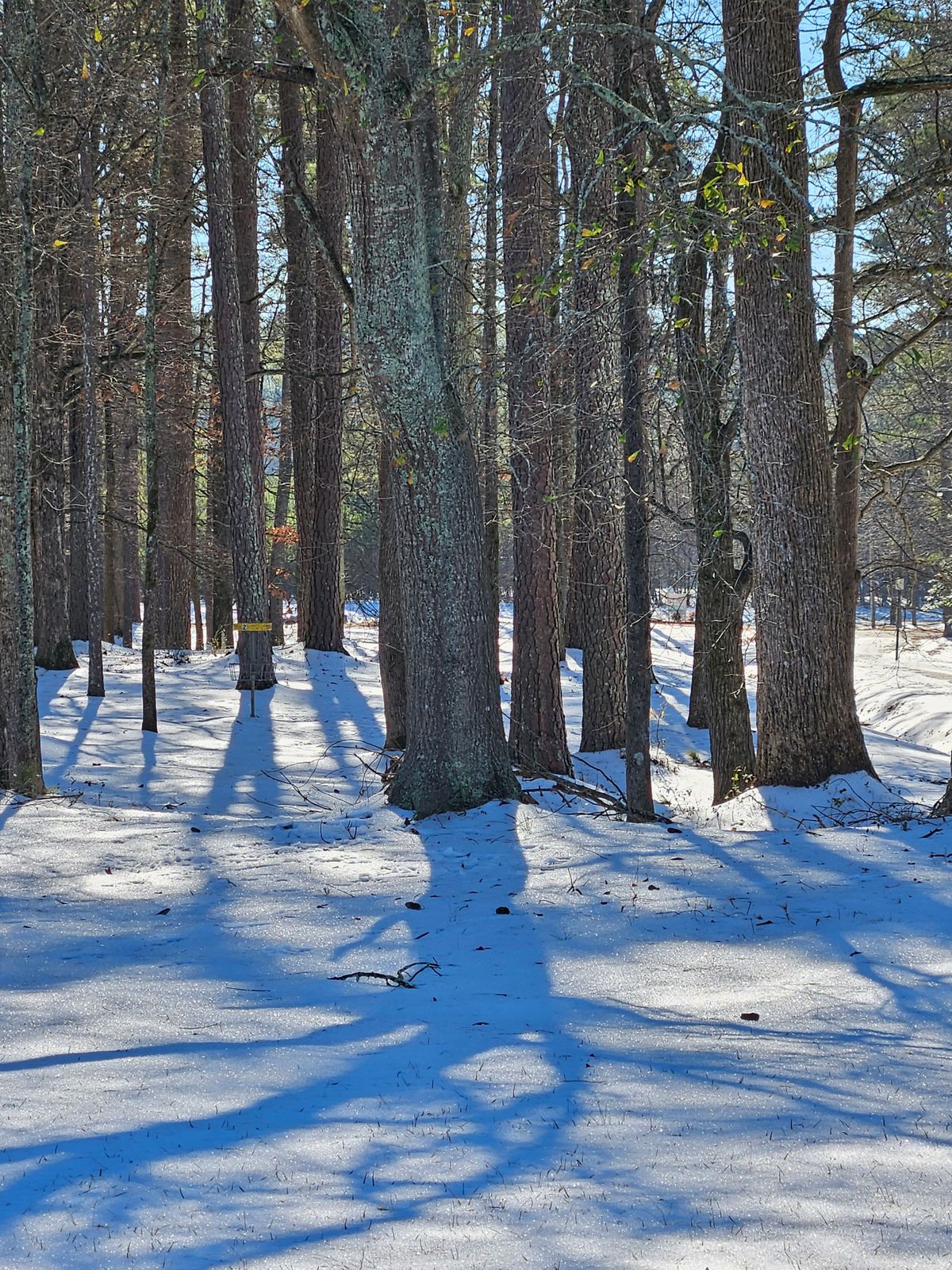 Long position,  hole 2, 1/12/25