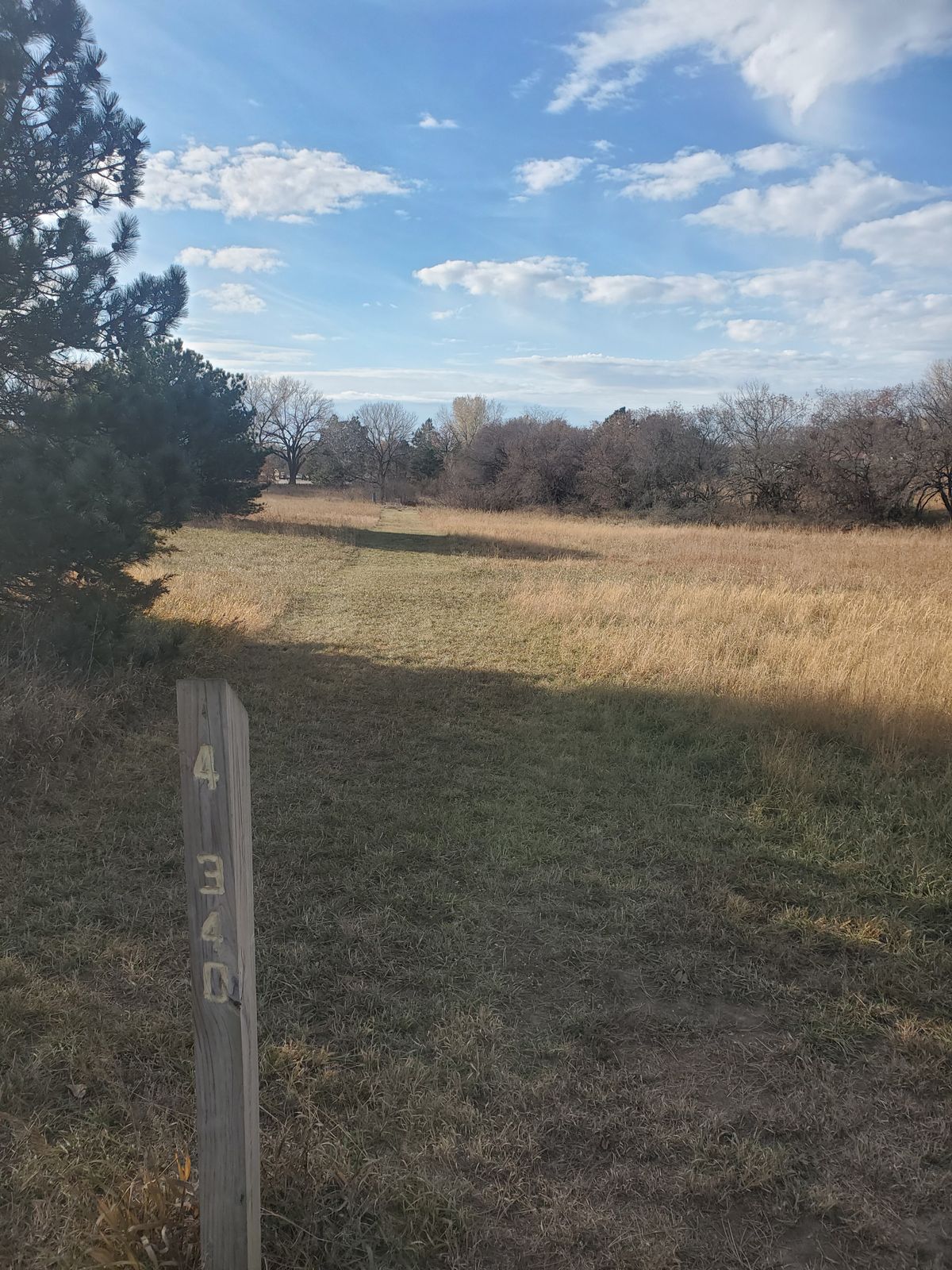Hole 4