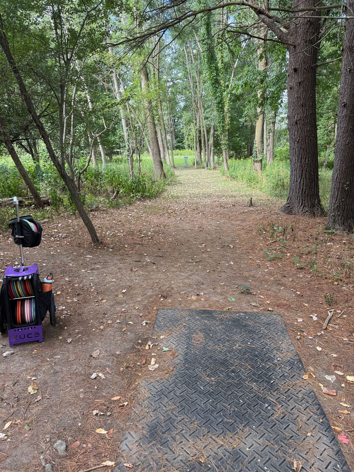 Hole #3 Teepad