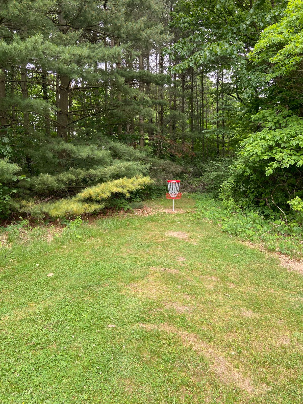 Hole 8 basket
