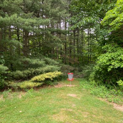 Hole 8 basket