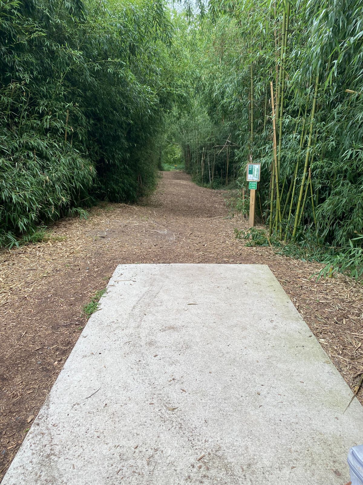 Hole 1