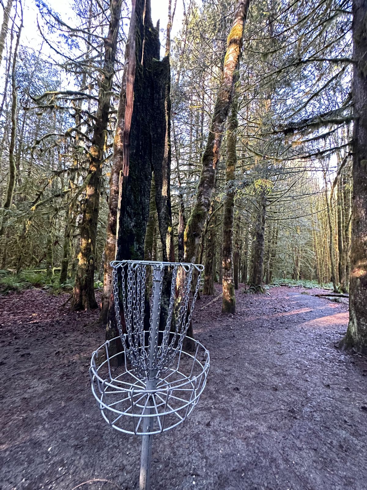Nice green