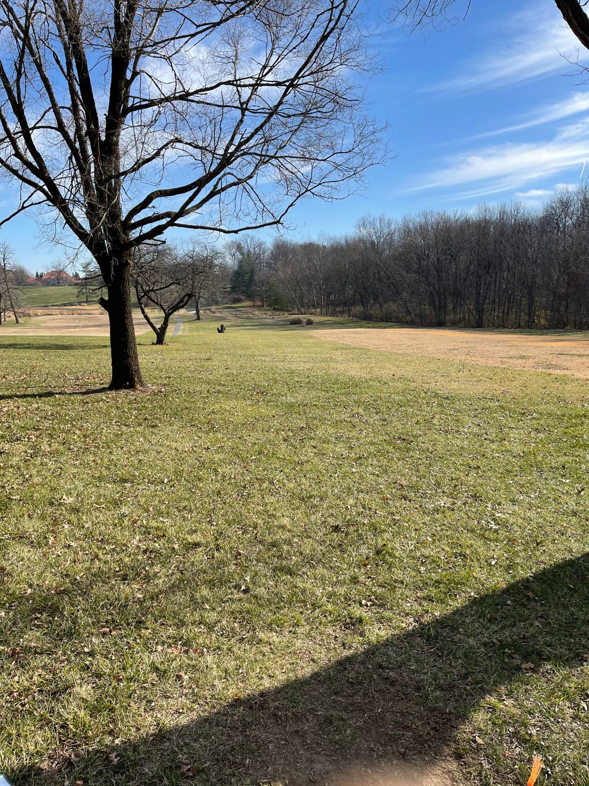 Hole 5s tee view. Basket is in short position across creek
