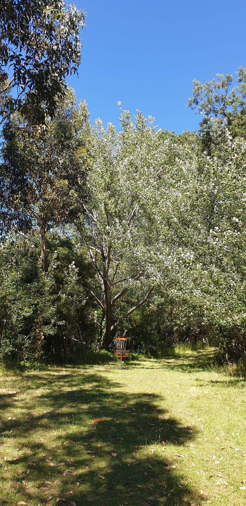 Hole 14