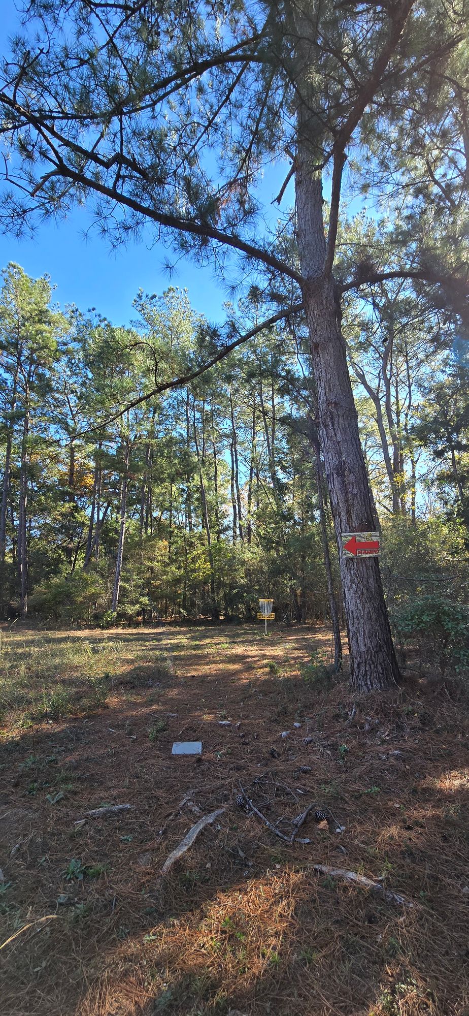 Hole 2's mando