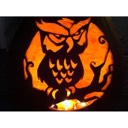 User avatar image
