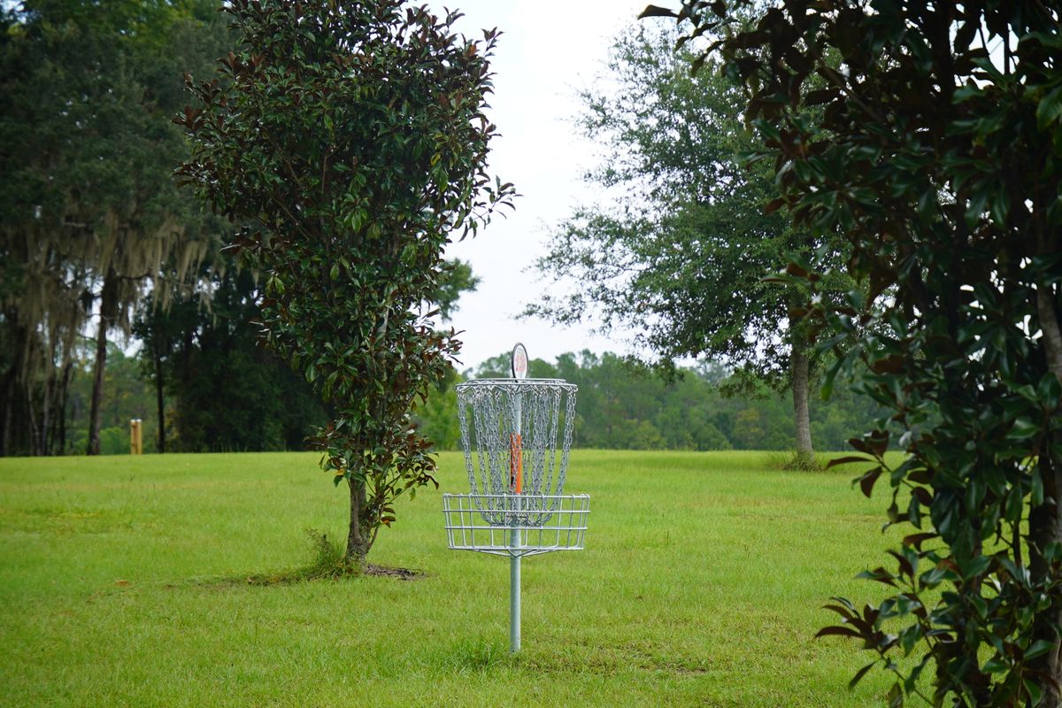 Hole 13’s basket! Gorgeous green!!