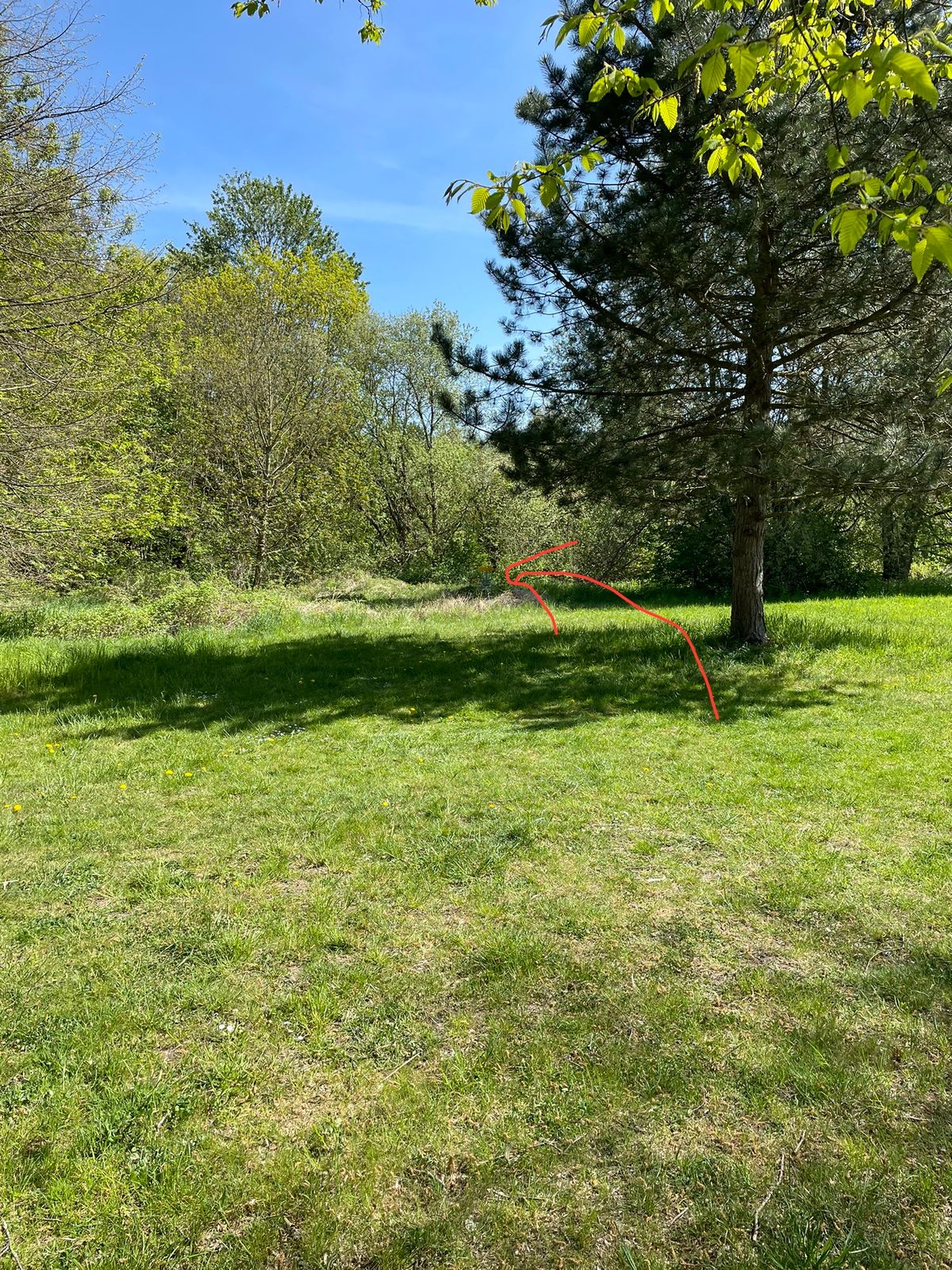Korb Loch 2 - links hier nicht im Bild der Baum um den man rum spielen muss