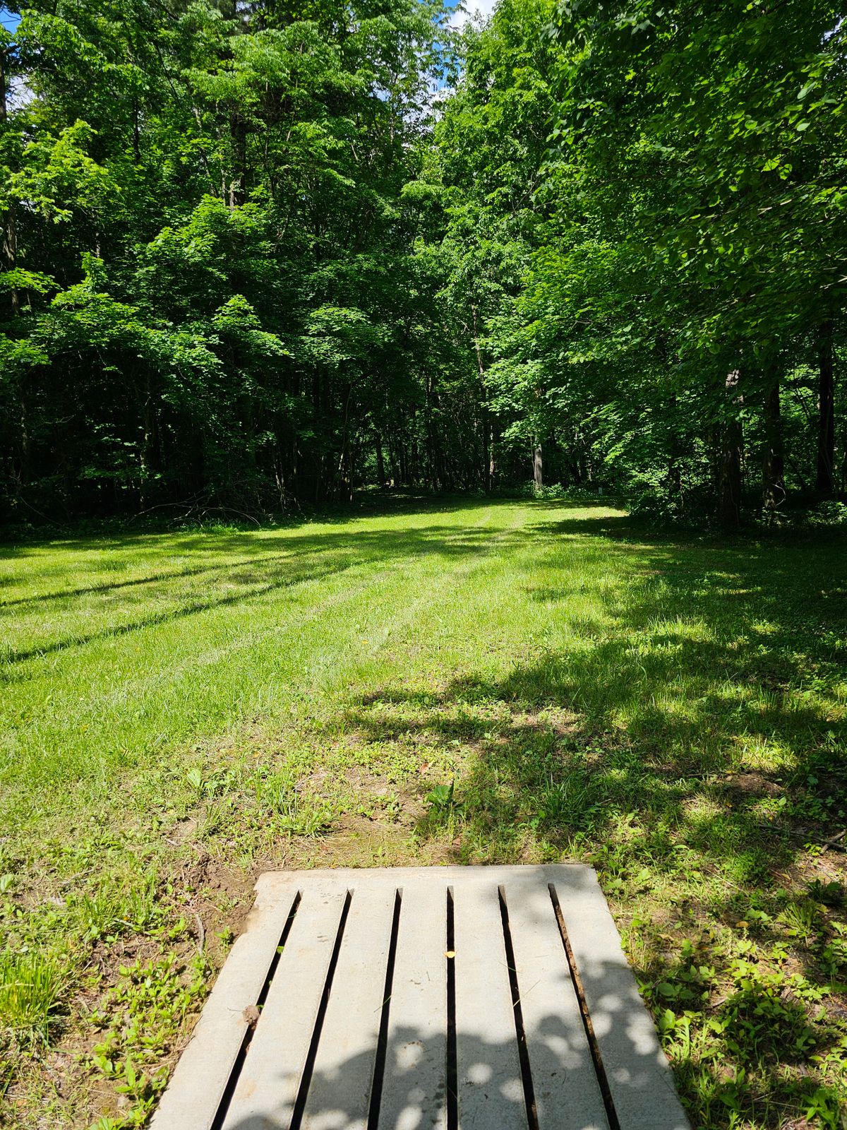 Hole 11
