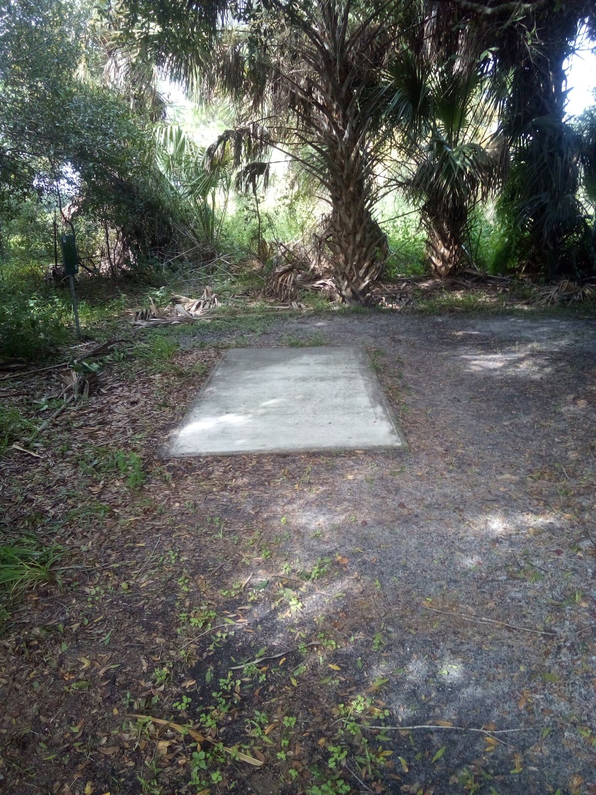Long tee pad #13 after