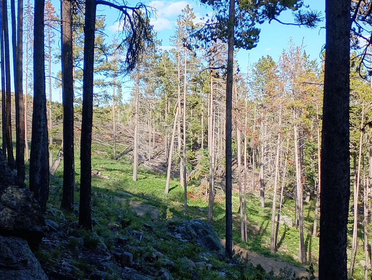 Hole 16