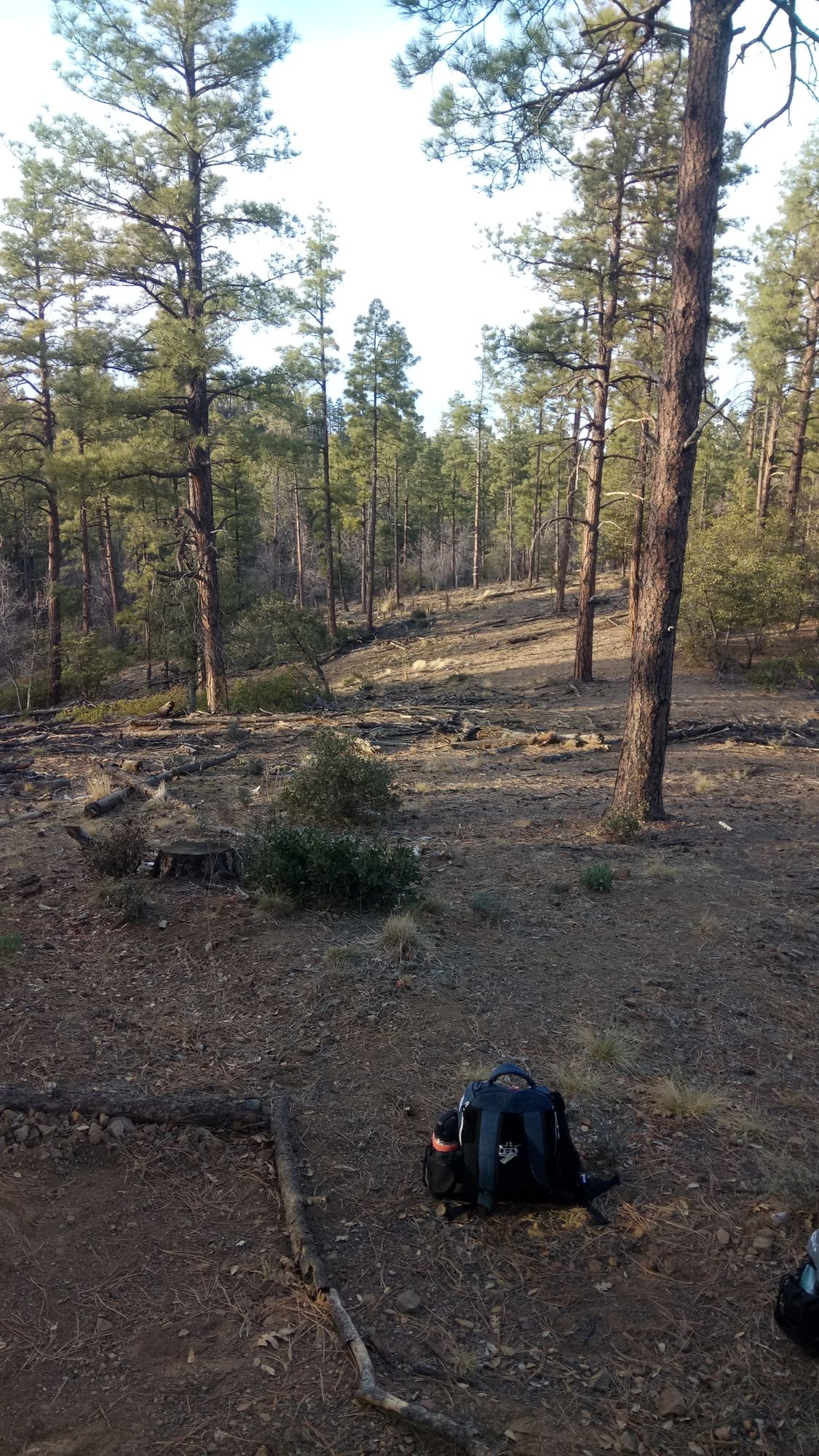 Hole #12 tee (240 ft downhill, plays 213)