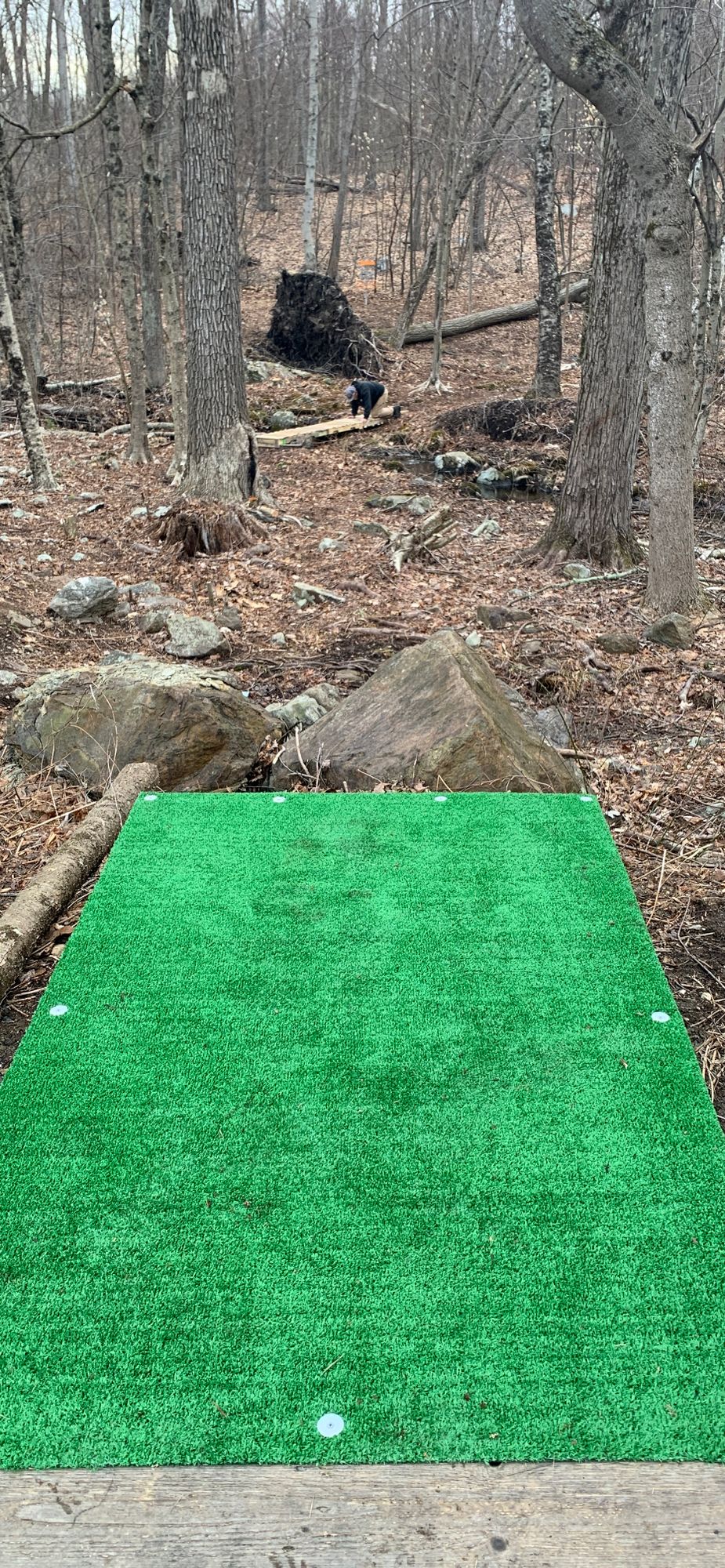 Hole 1 Tee pad. Basket just visible beyond the fallen tree.