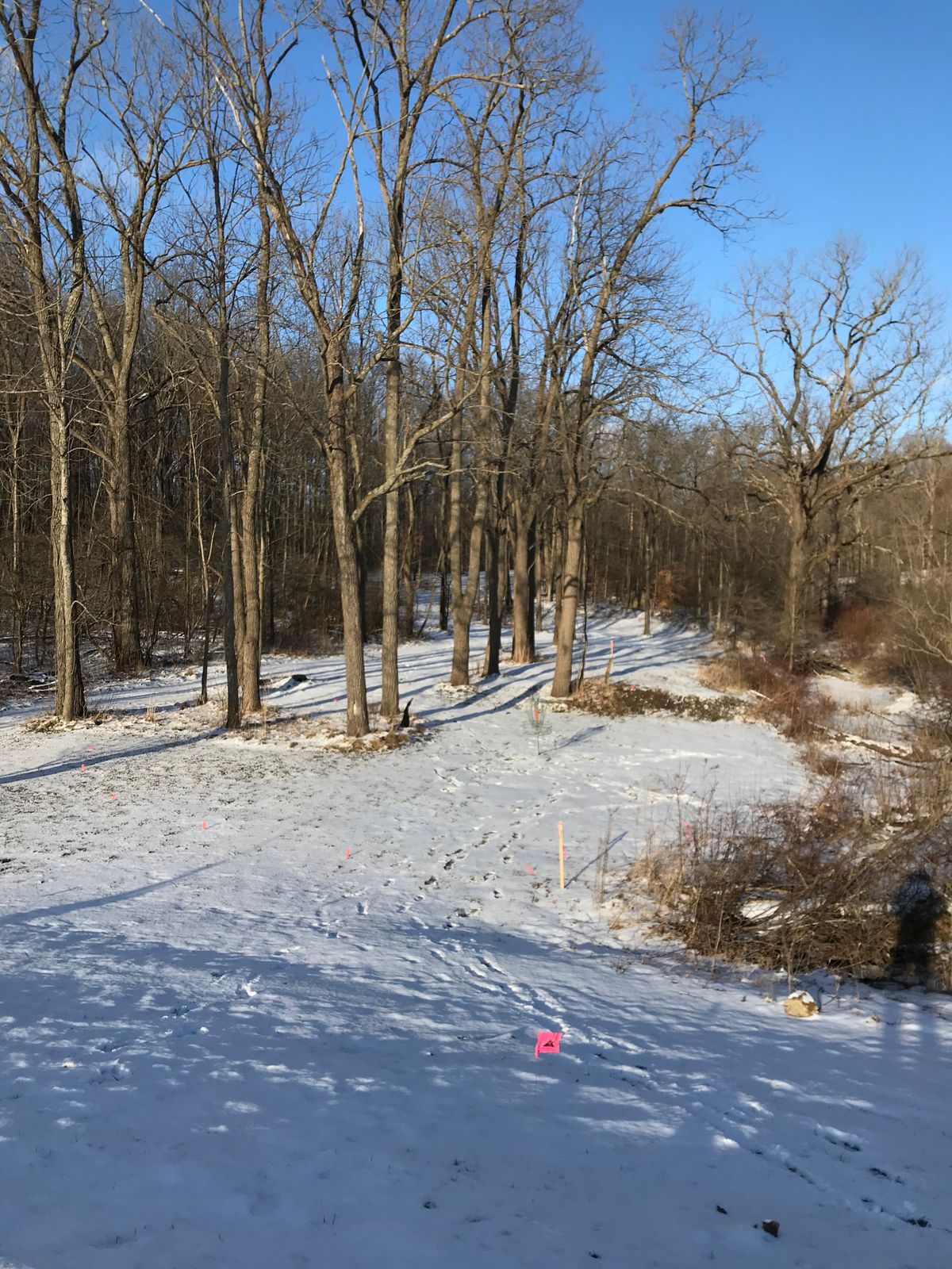 Hole 8's Snowy Green