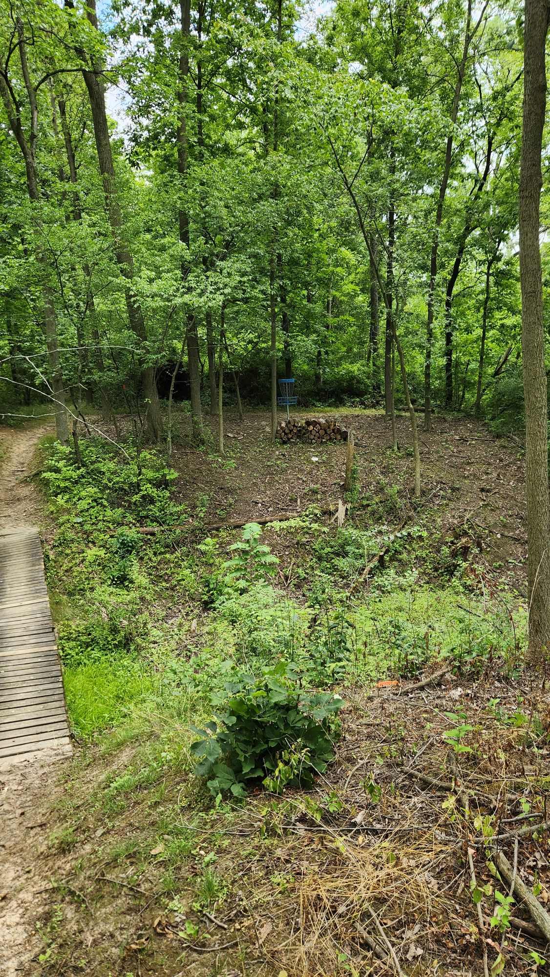Hole 3 basket