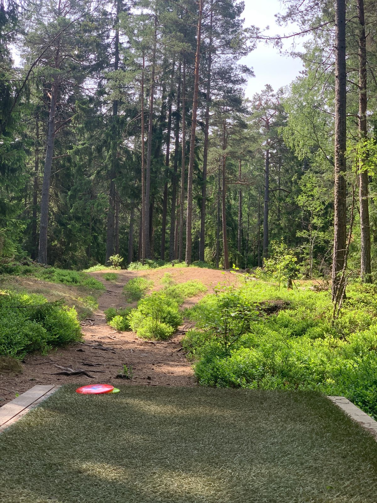 Hål 15 
