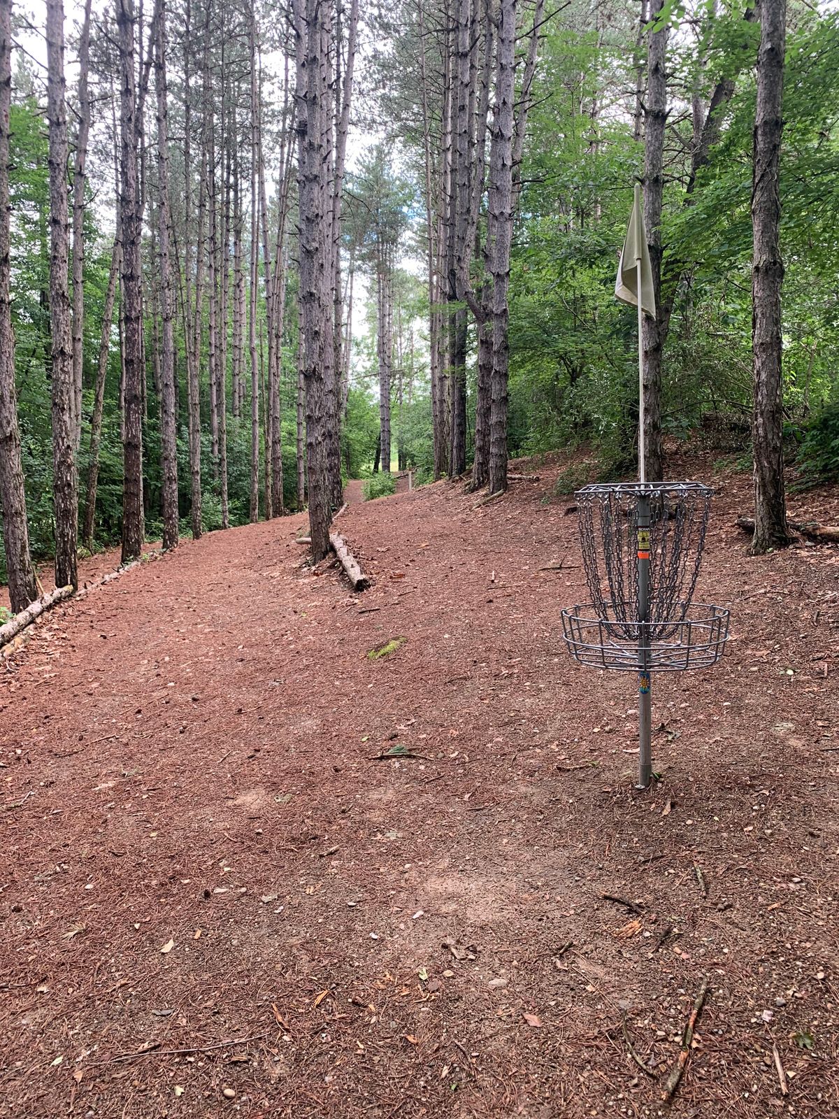 Hole 2 basket back to Tee