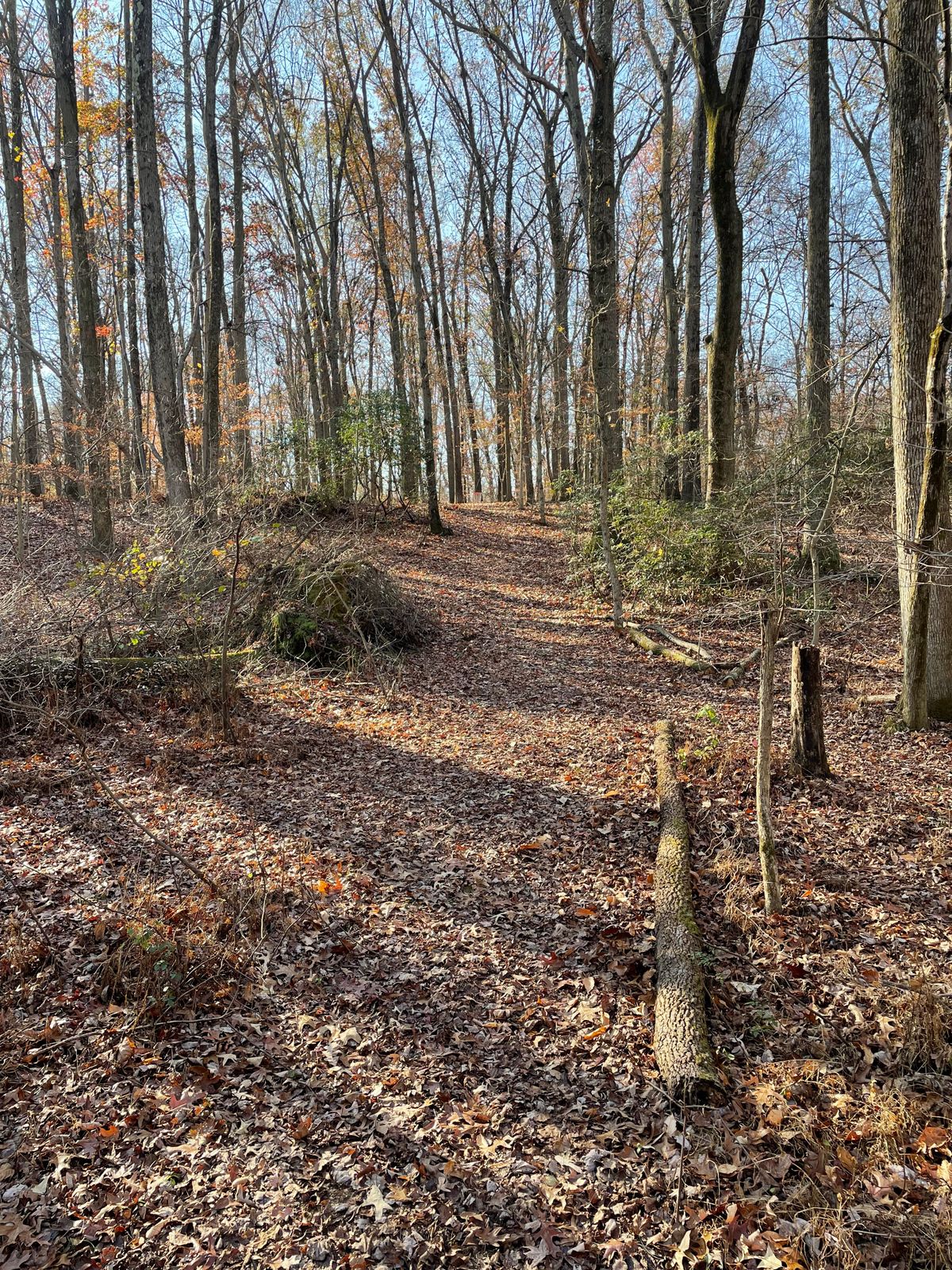 Hole 8 back uphill gap