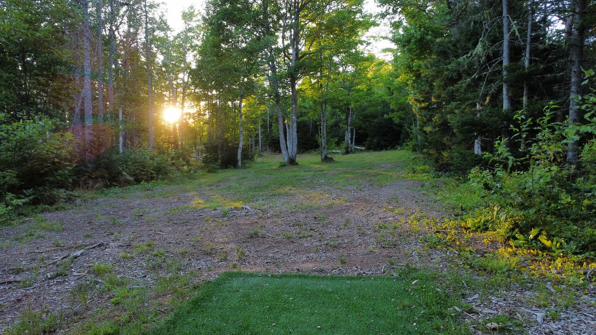 Hole 7 - fairway from blue tee.