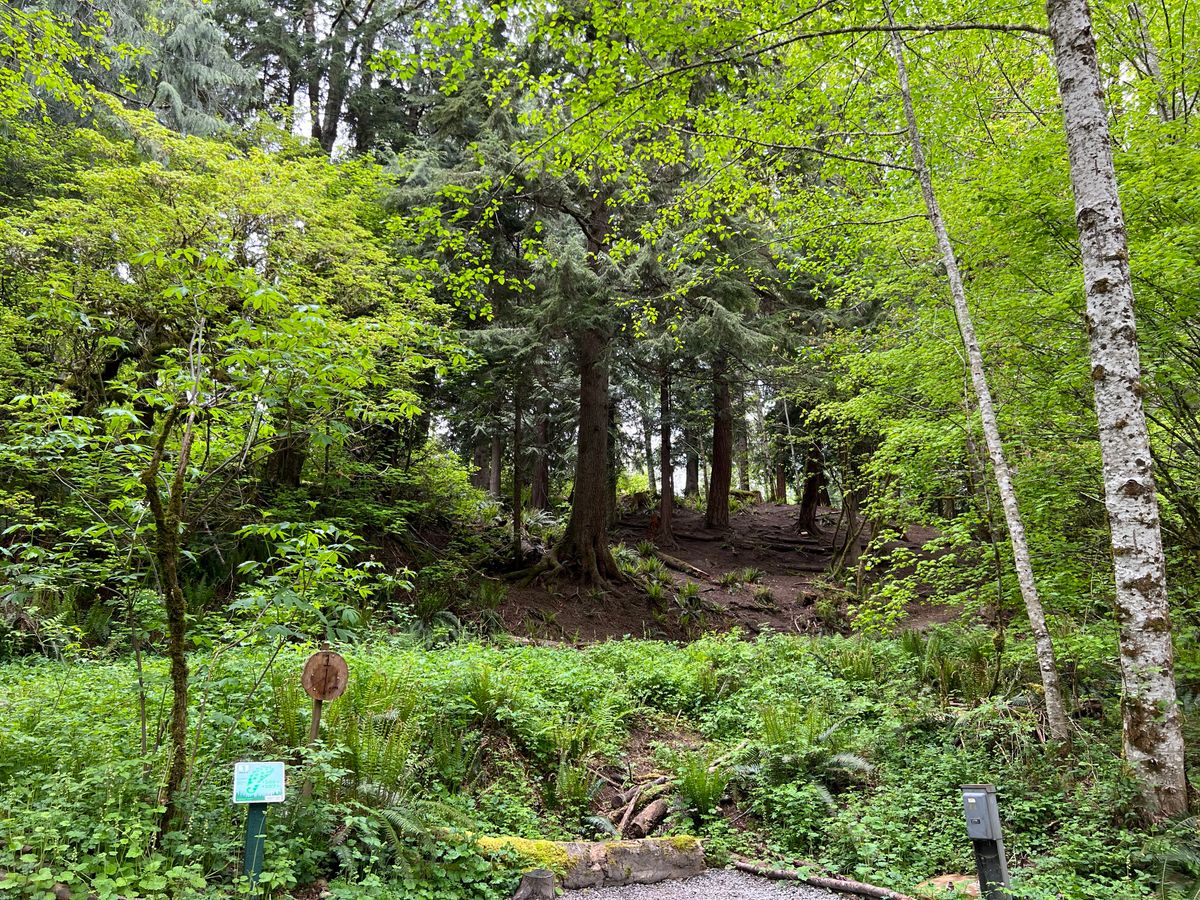 Hole #1