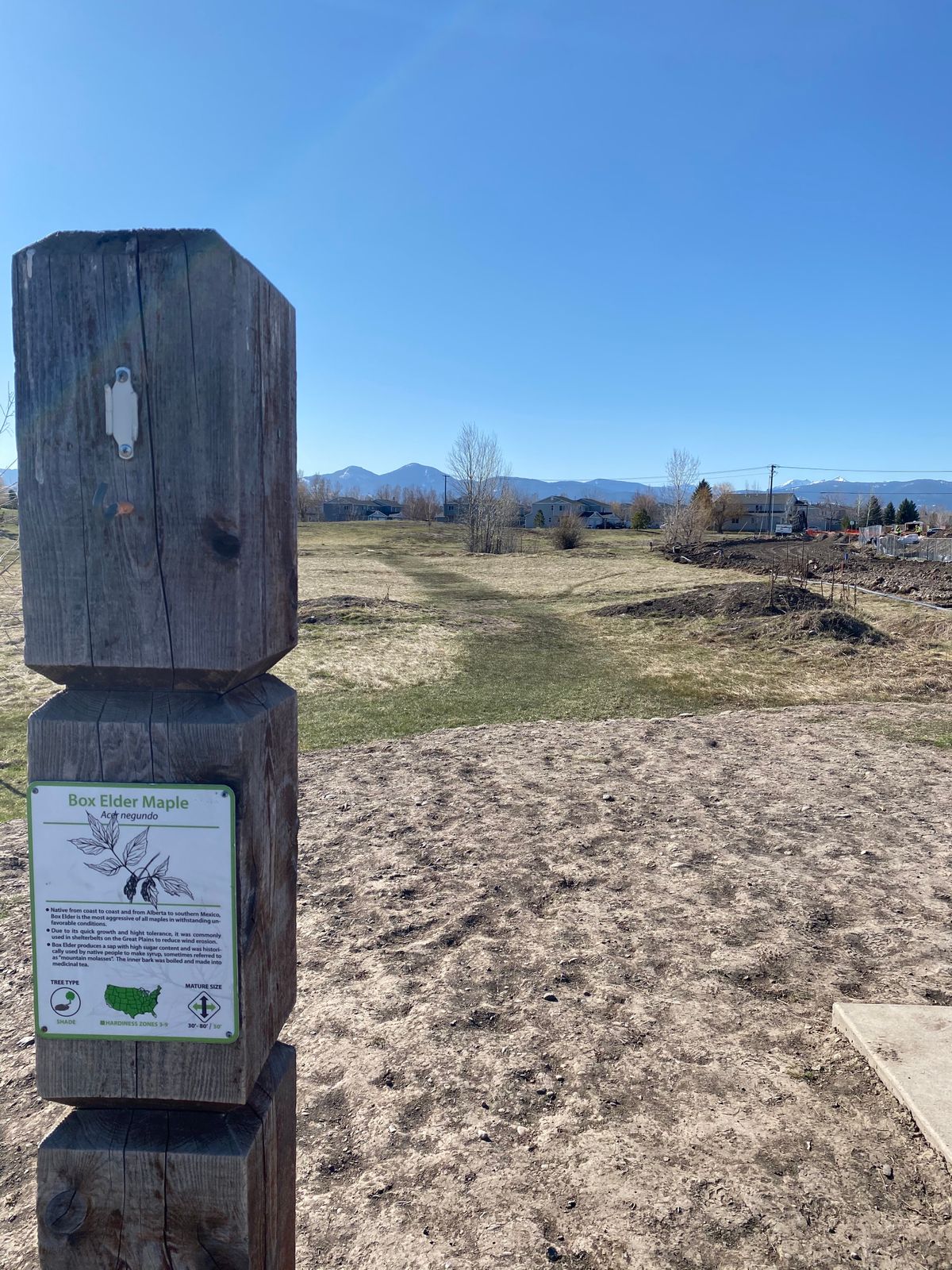 Hole 4