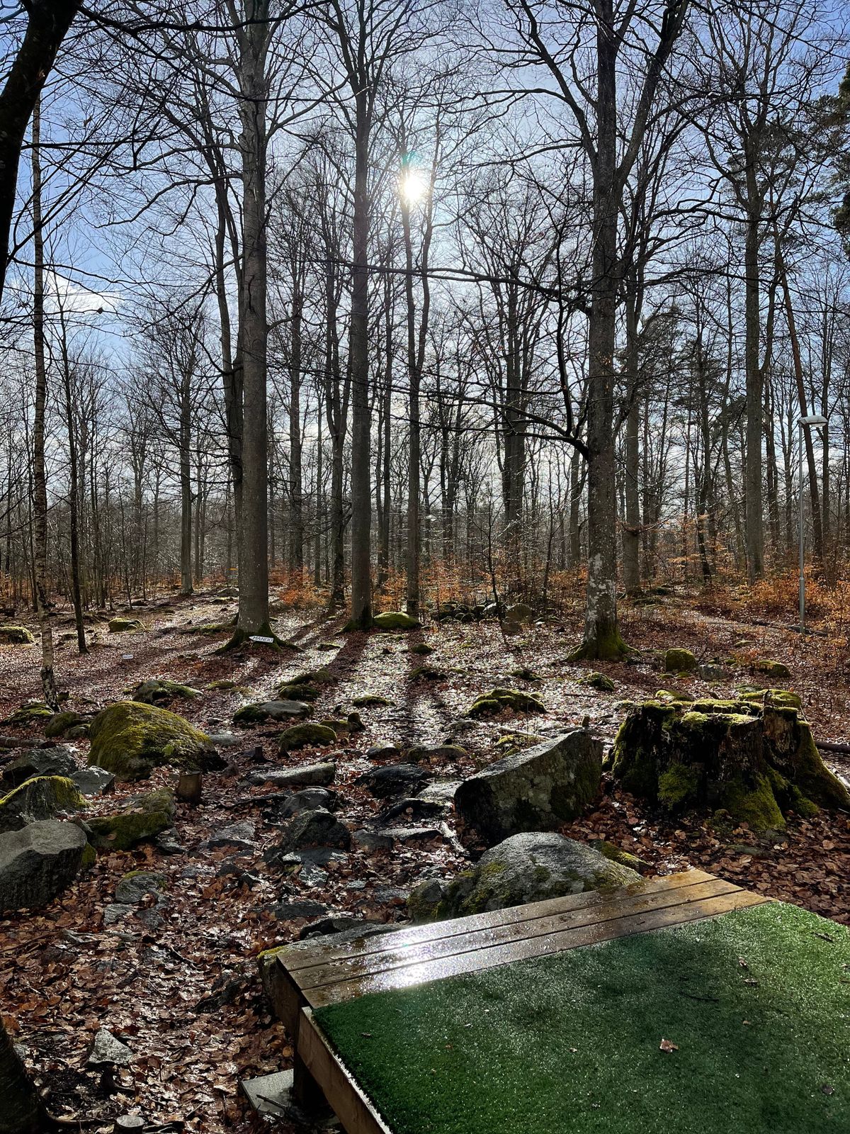 Tee 1 (23 mars 2024)