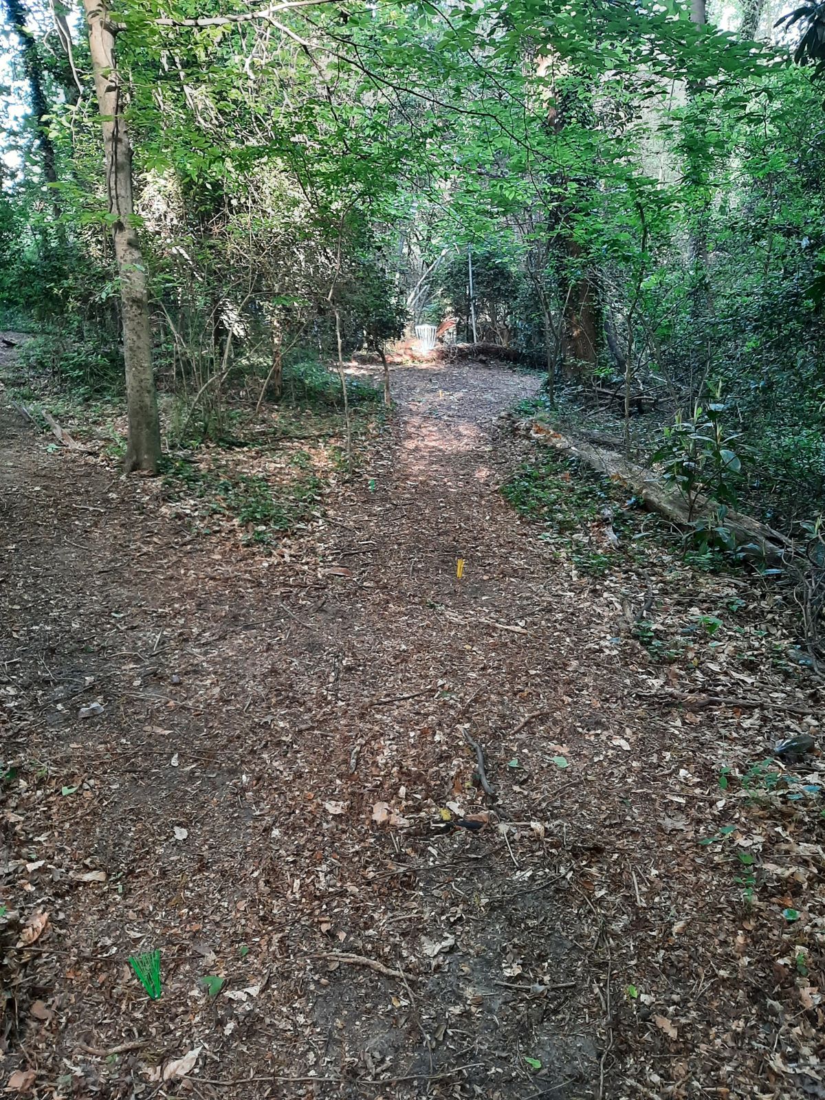 Hole 16 White Tee