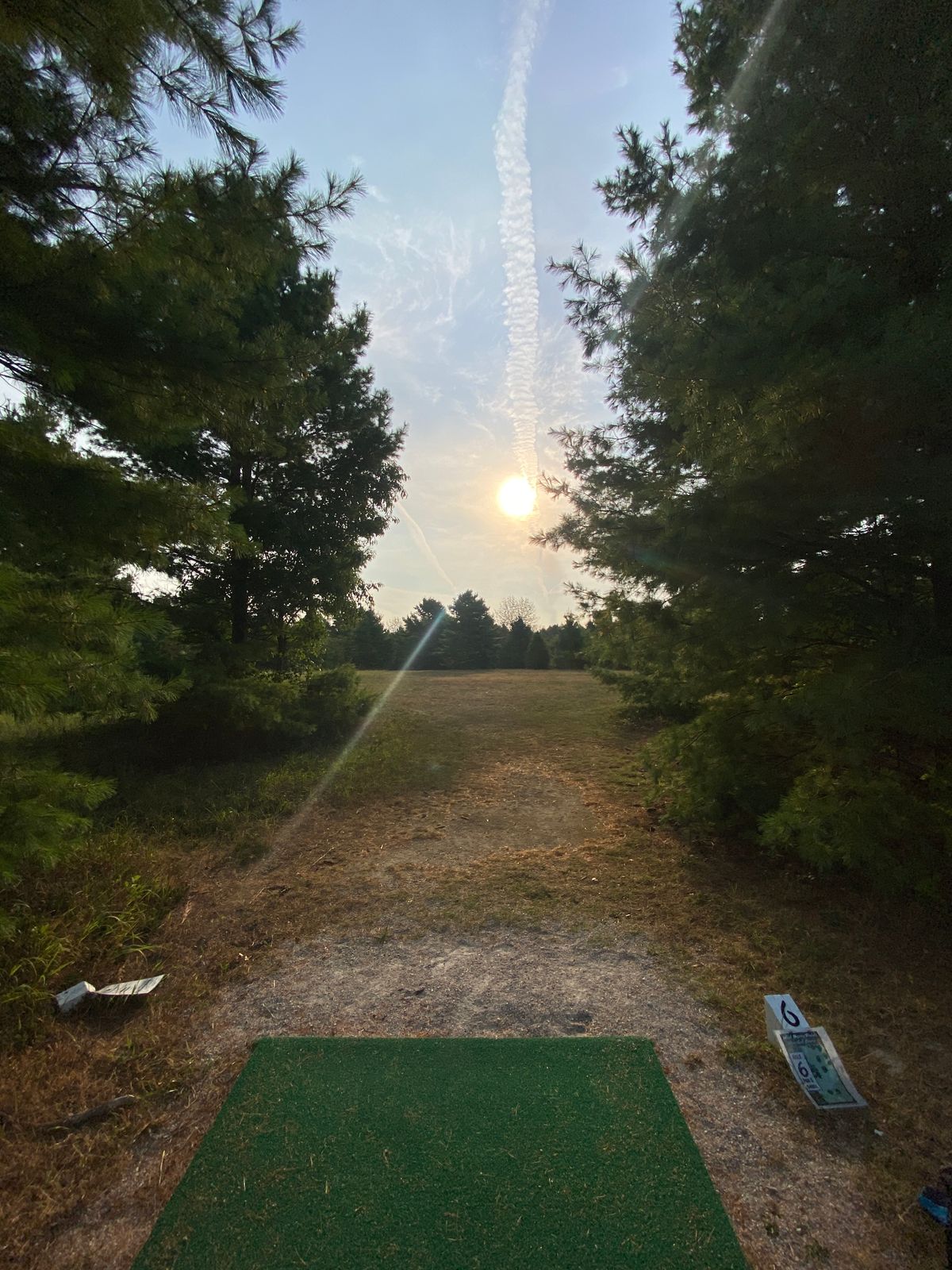 Tee 6