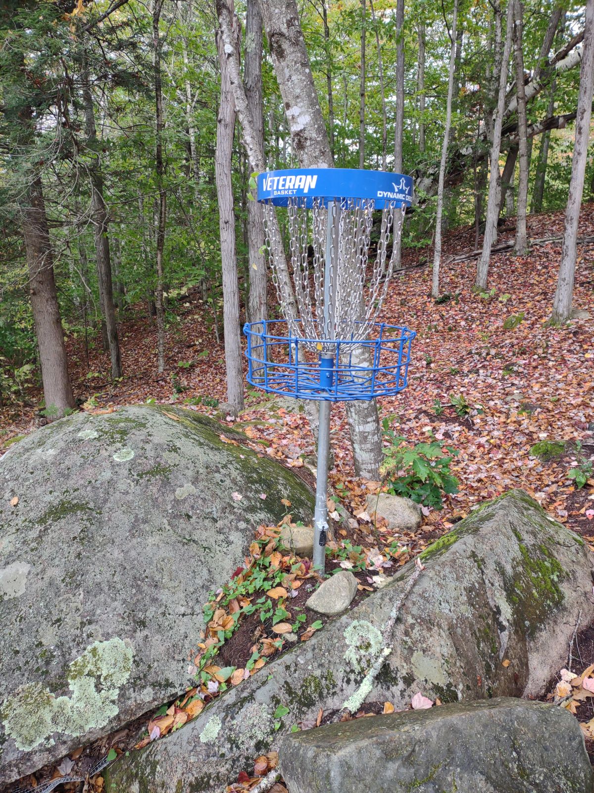 Hole 15