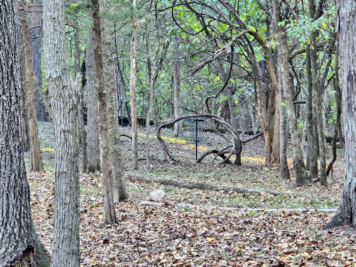 Hole 5