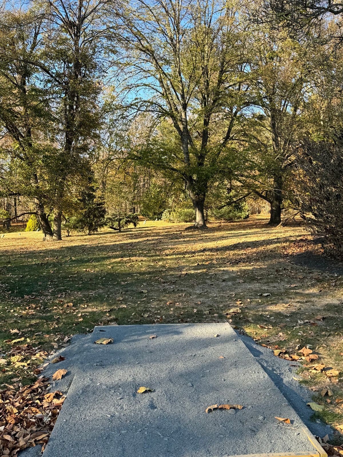 Hole 4 tee box with left and right fairway options