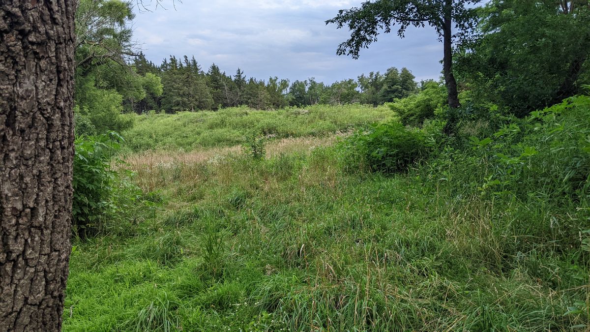 Fairway 4