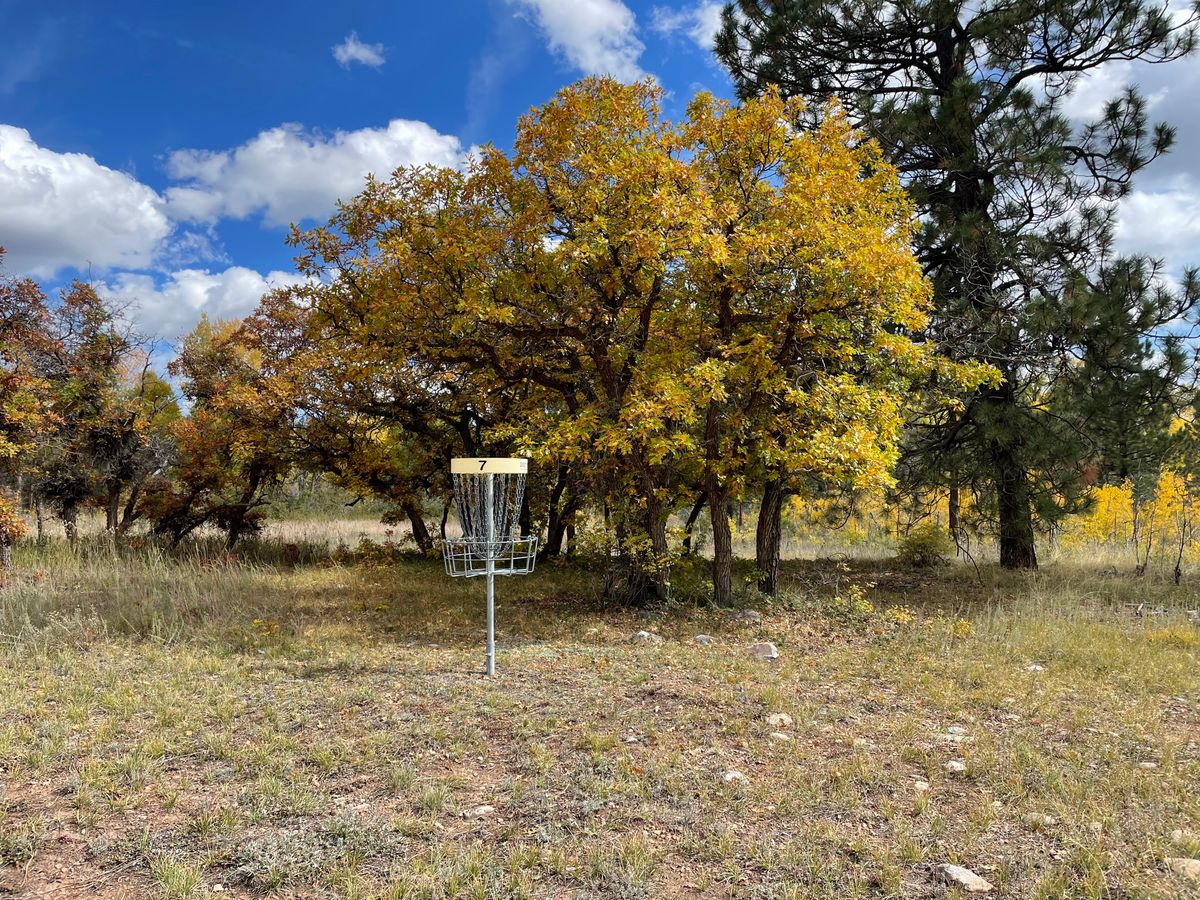 Hole 7 basket Silver Pick Disc Golf Course