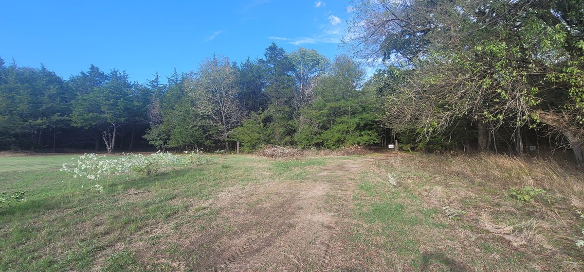 approaching hole 1