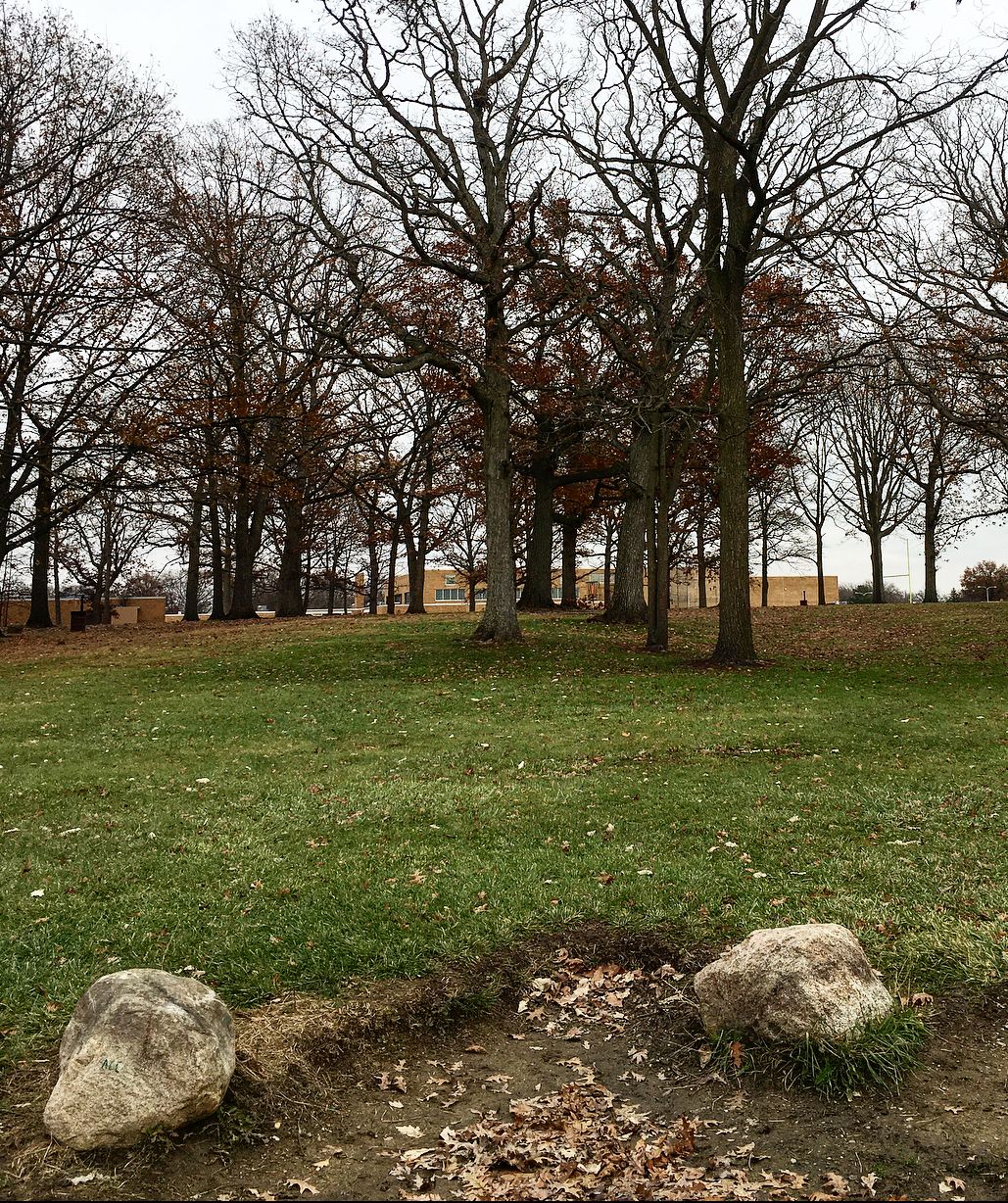 Riverview Grasslands